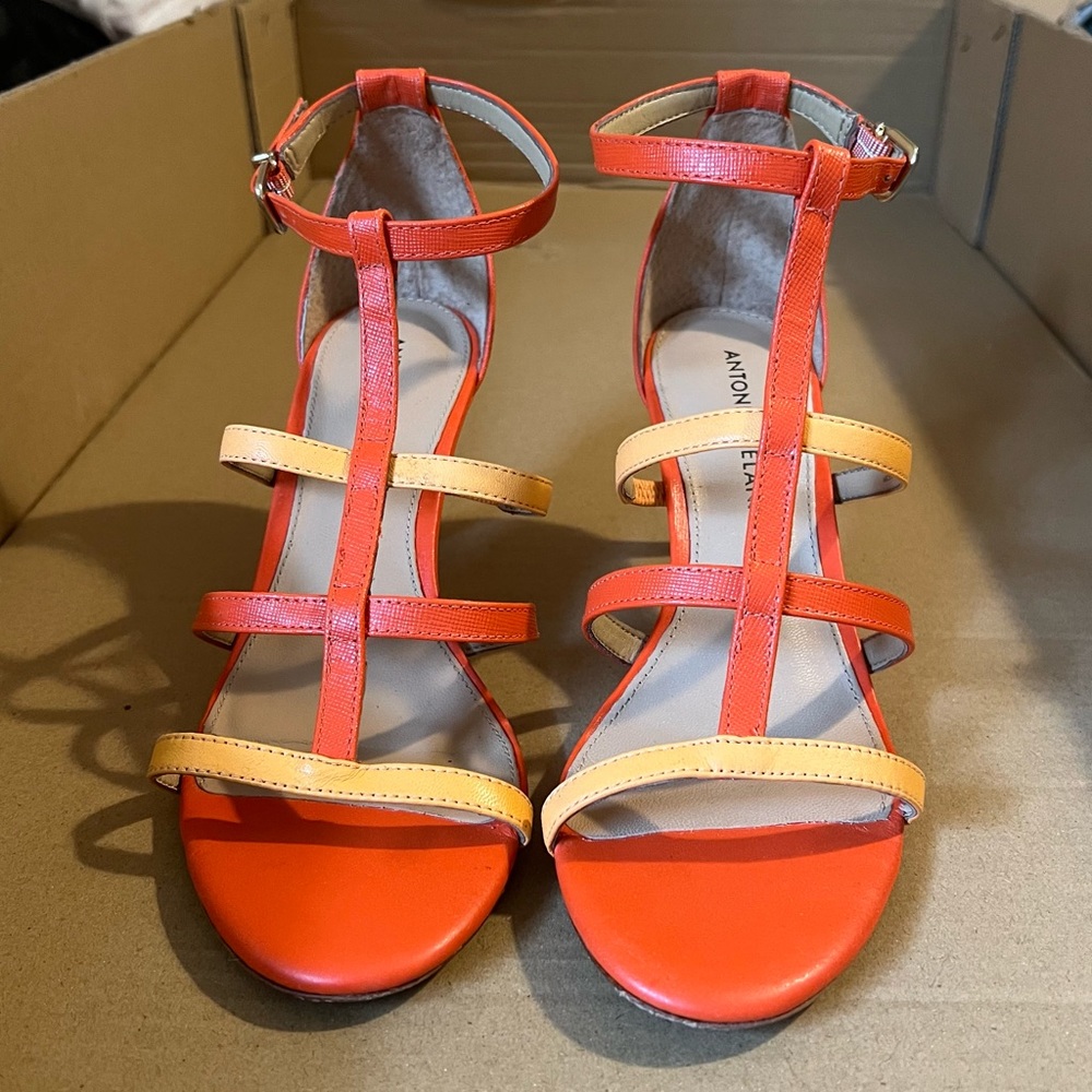 Antonio Melani Sandals worn a couple times still in near perfect condition.